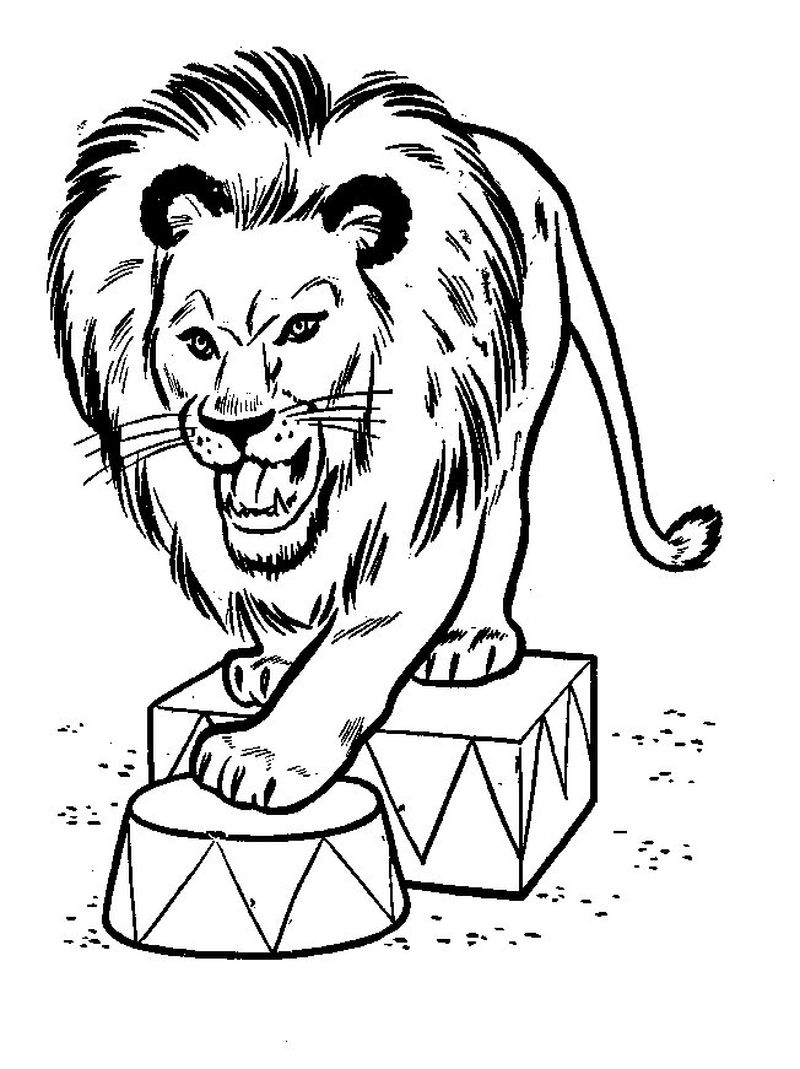Lion Coloring Pages Print