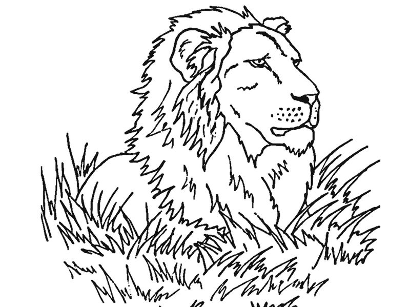 Lion Face Coloring Page