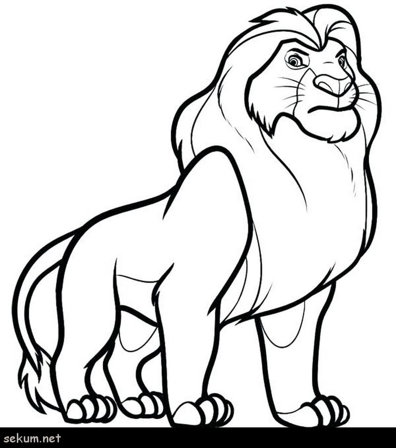 Lion King Coloring Pages Games