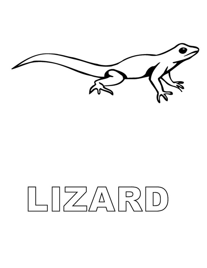 Little Lizard Coloring Pages