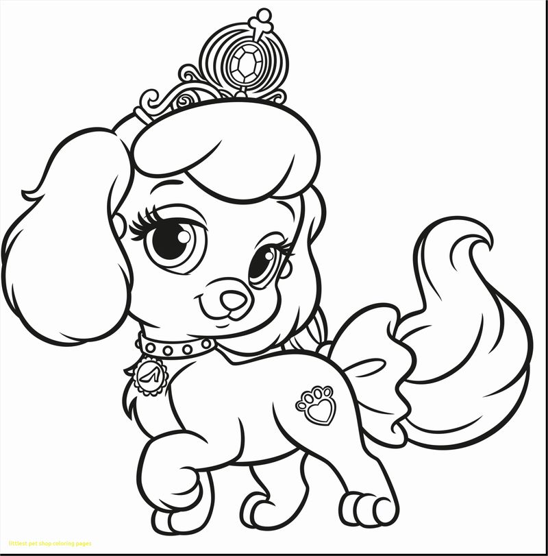 littlest pet shop panda coloring pages