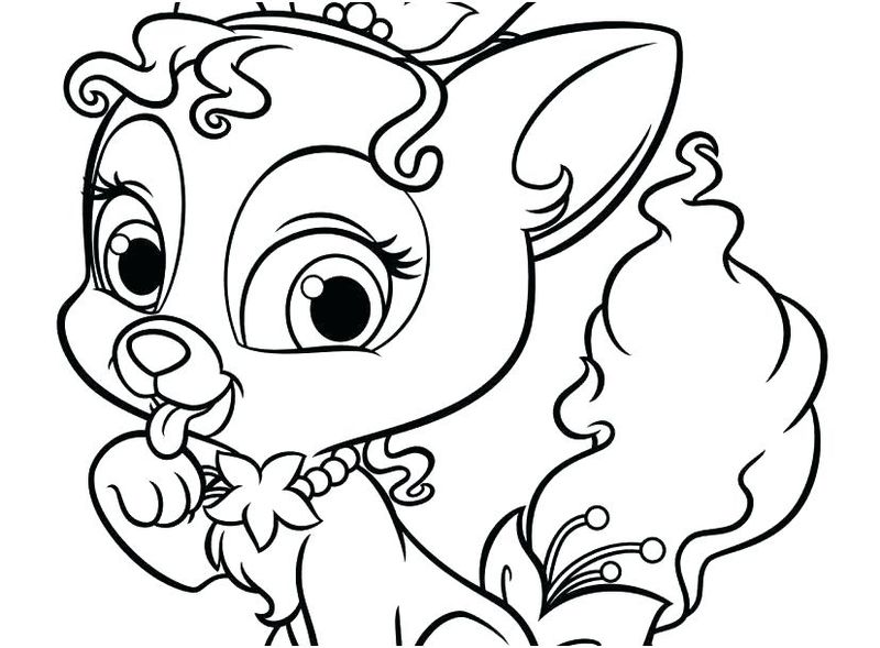 Littlest Pet Shop Coloring Pages Puppy