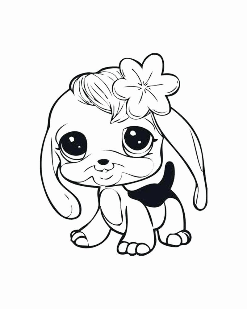 Littlest Pet Shop Coloring Pages Zoe