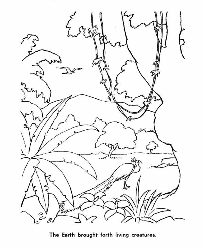 Living Creatures Creation Coloring Pages