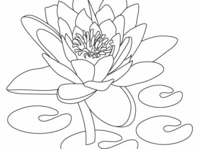 Lotus Coloring Pages for Kids