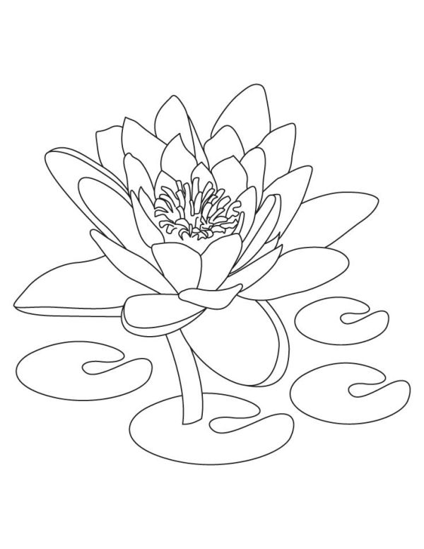 Lotus Coloring Pages for Kids