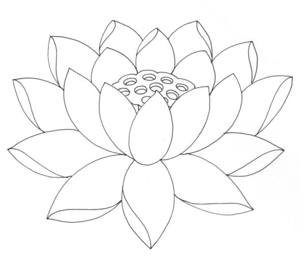 Lotus Flower Coloring Pages