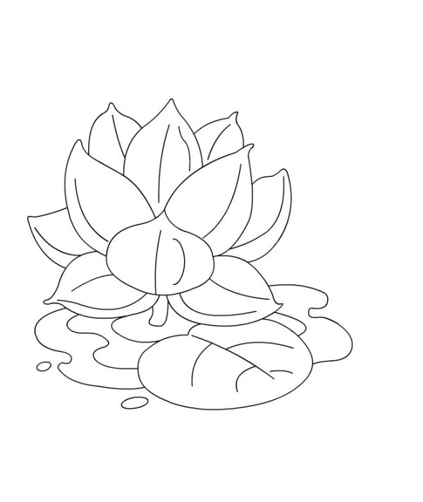 Lotus Flower Coloring Pages for Kids