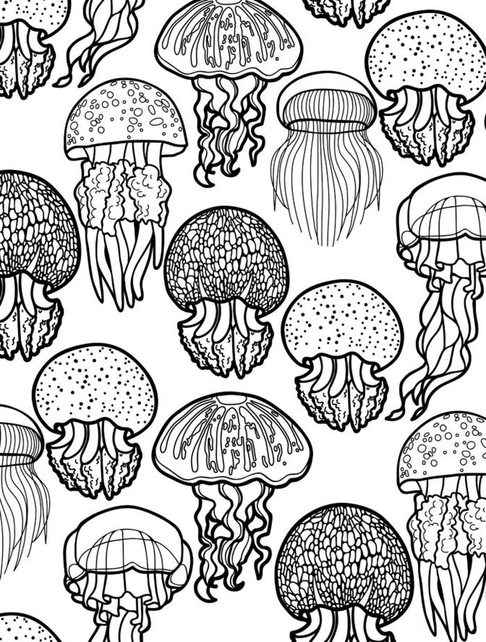 Mandala Sea Animals Coloring Pages