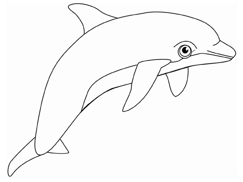 Mermaid and Dolphin Coloring Pages