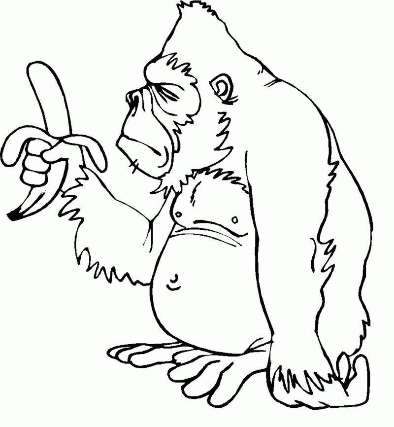 Monkey Coloring Pages For Kids