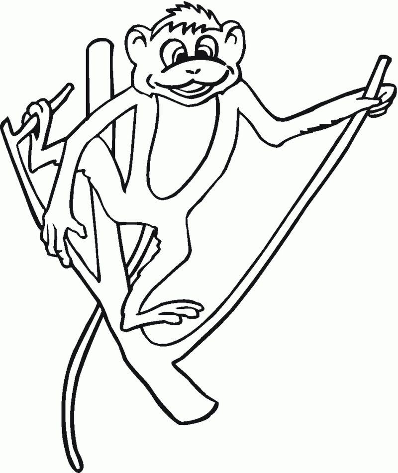 Monkey Printable Coloring Pages