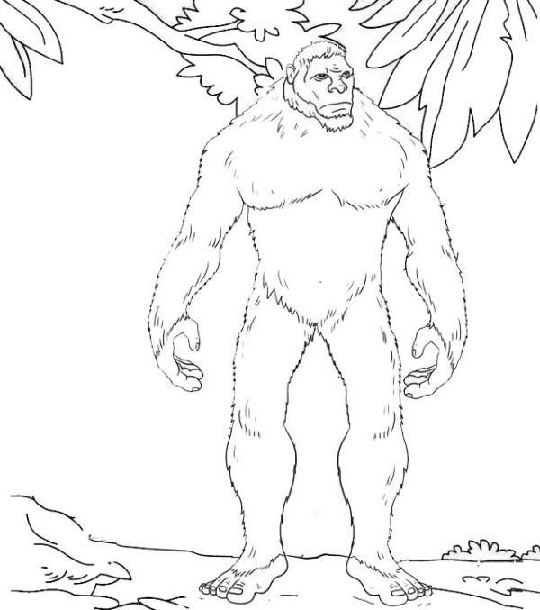 Monster Yeti Coloring Page