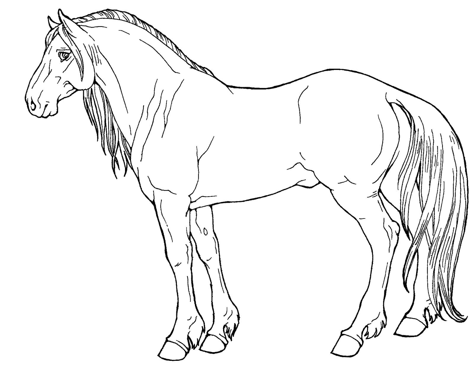 mustang horse coloring pages 1