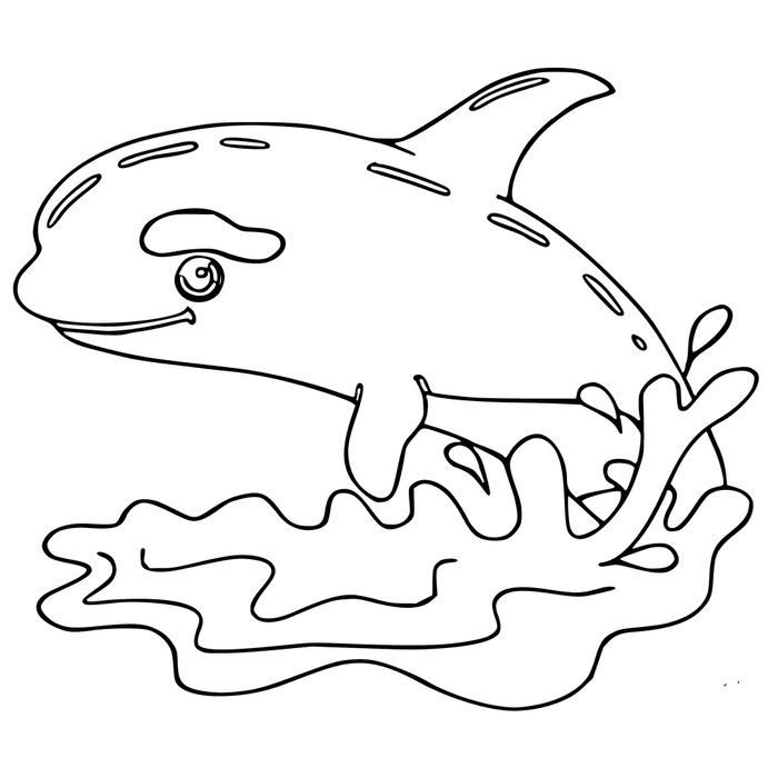 Nar Whale Coloring Pages
