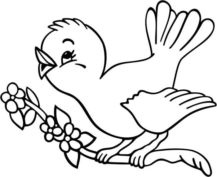 National Bird Day Coloring Page