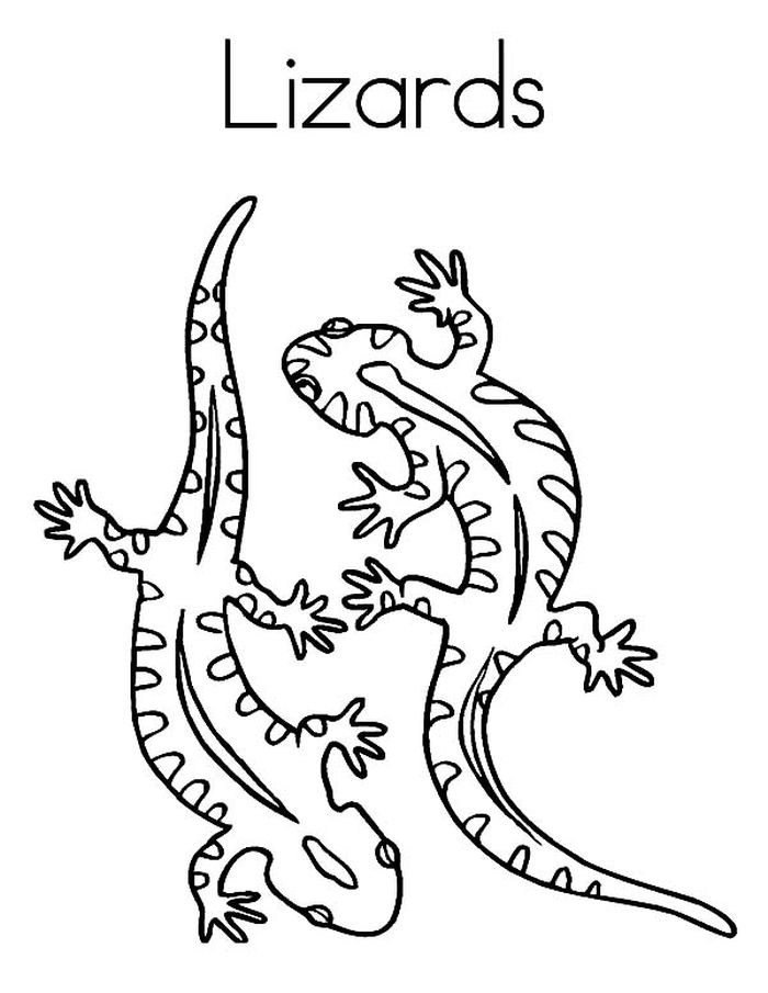 Night Lizard Coloring Pages