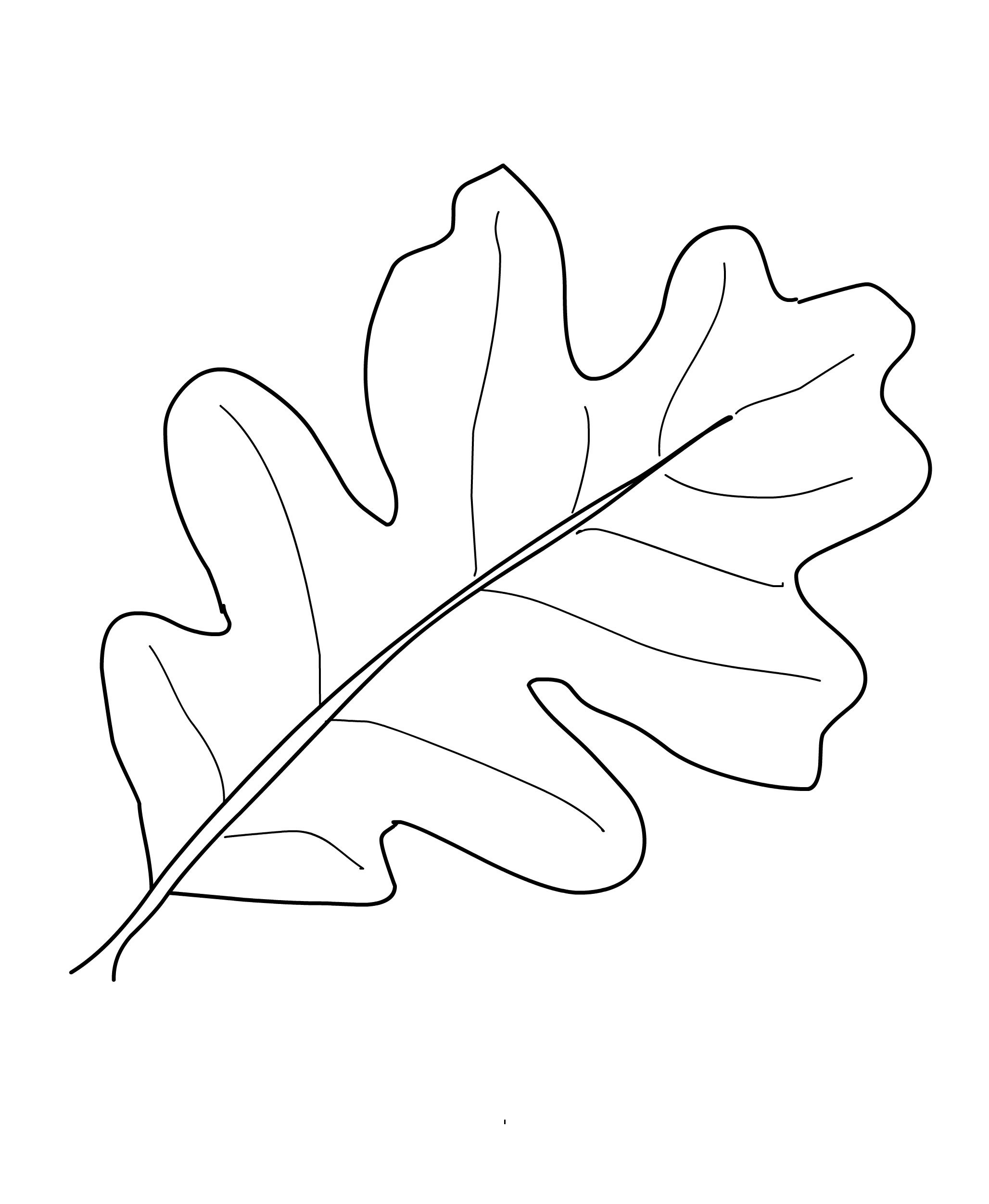 oak leaf nature coloring page for kids new leaves coloring pages download