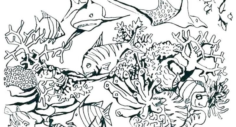 Ocean Animal Coloring Pages Free