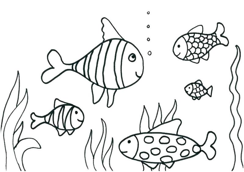 Ocean Animals And Plants Coloring Pages