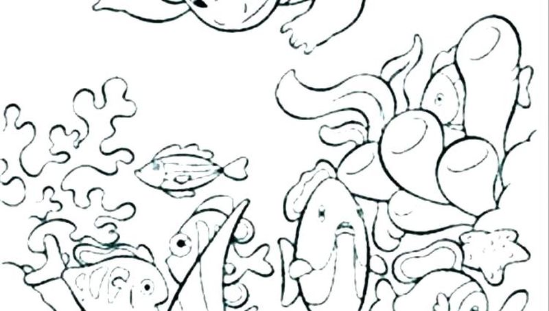 Ocean Animals Coloring Pages Free