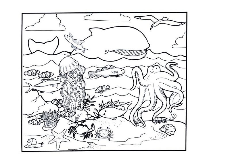 Ocean Animals Coloring Pages Kindergarten