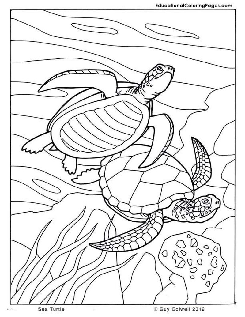 Ocean Coloring Pages For Toddlers