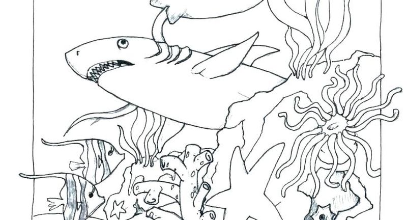 Ocean Coloring Pages Free Printable