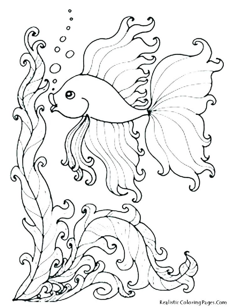 Ocean Fish Coloring Pages For Kids