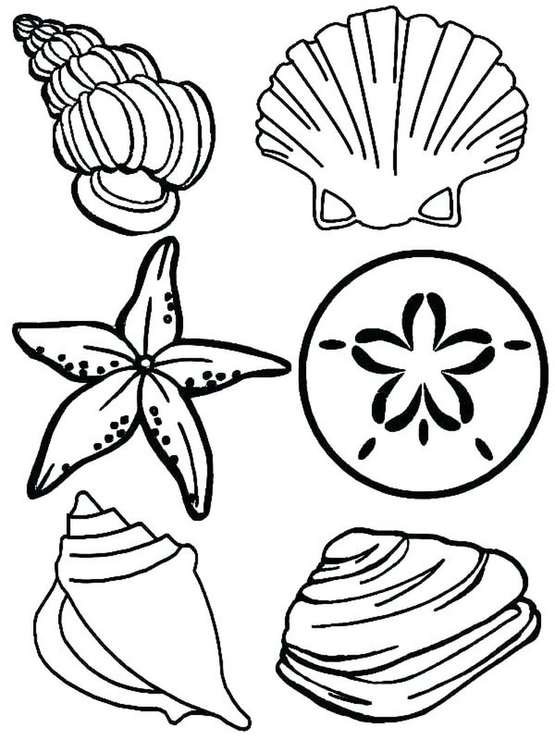 Ocean Fish Coloring Pages