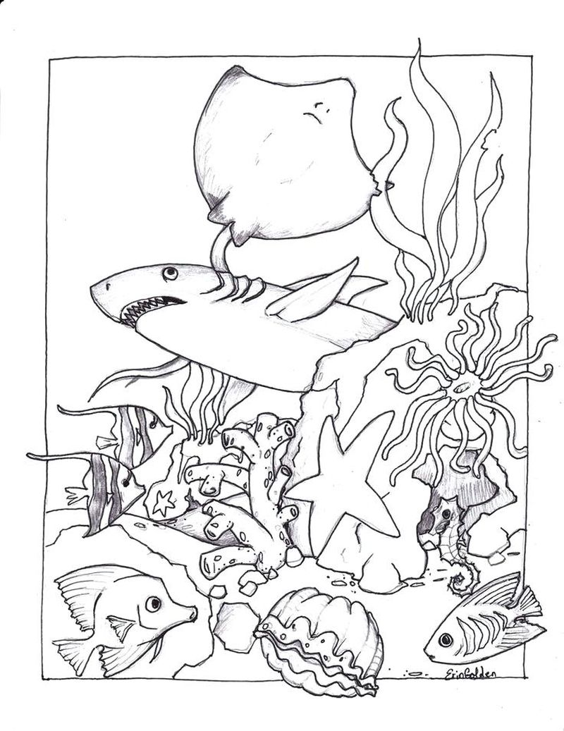 Ocean Life Coloring Pages Printable