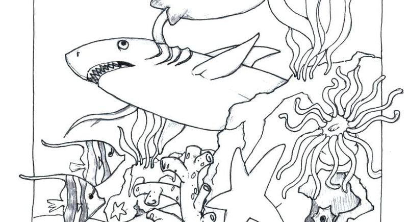 Ocean Scene Coloring Pages Free