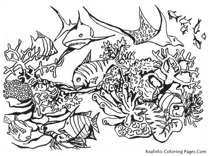 Ocean Sunset Coloring Pages