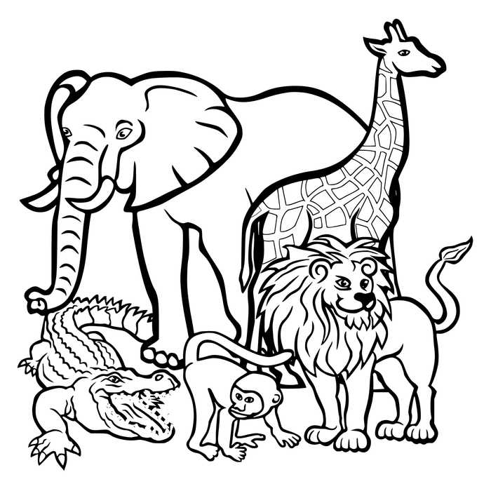 October Coloring Pages World Animal Day