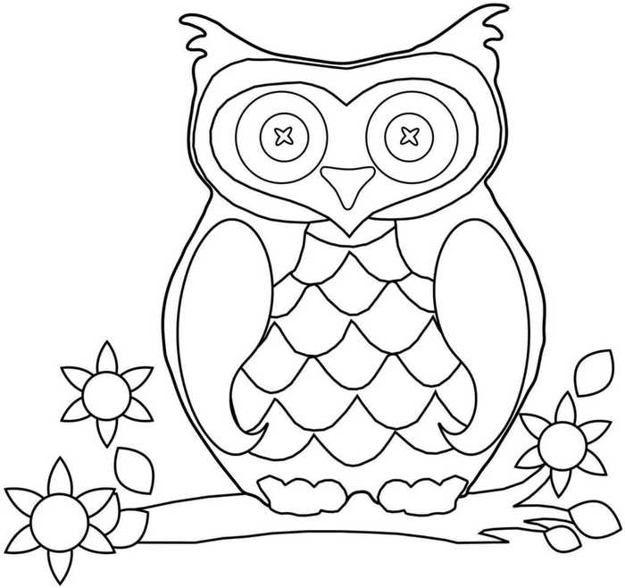 Owl Kindergarten Coloring Pages