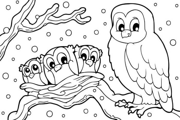 Owl Winter Coloring Pages