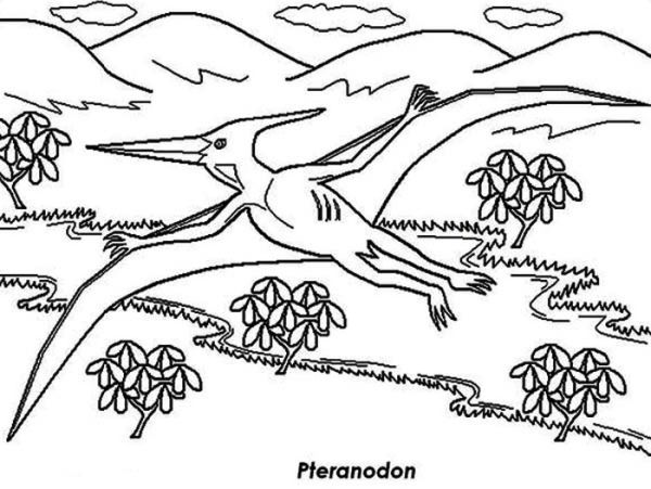 Pteranodon Fly Up On Mountain Coloring Page Coloring Sun