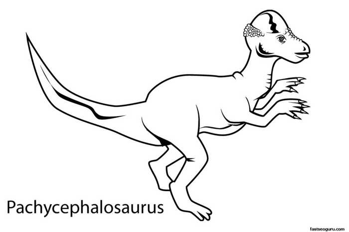 Pachycephalosaurus Dinosaur Coloring Page