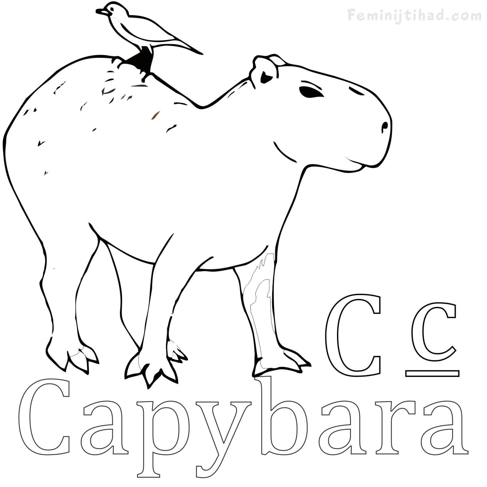 Page Capybara to Color