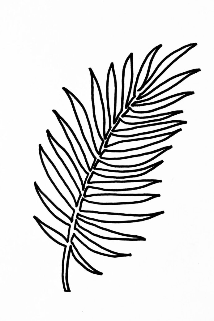 palm leaves coloring pages