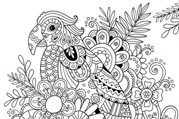 Parrot Among Flowers Adult Coloring Page