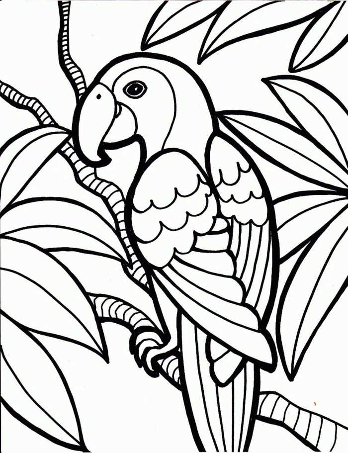 Parrot Animal Coloring Pages 1
