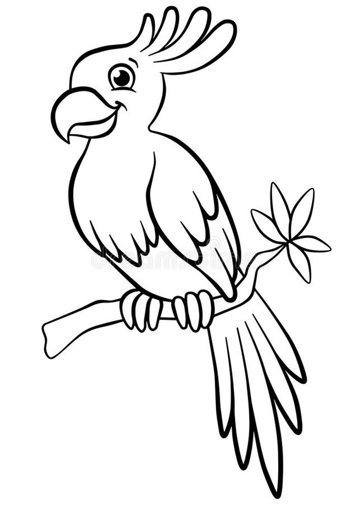 Parrot Bird Coloring Pages