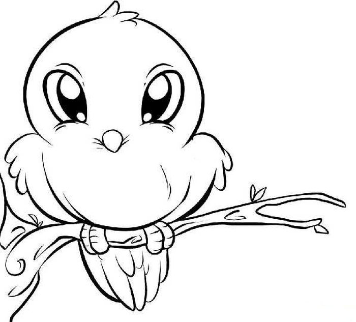 Parrot Chicks Coloring Pages