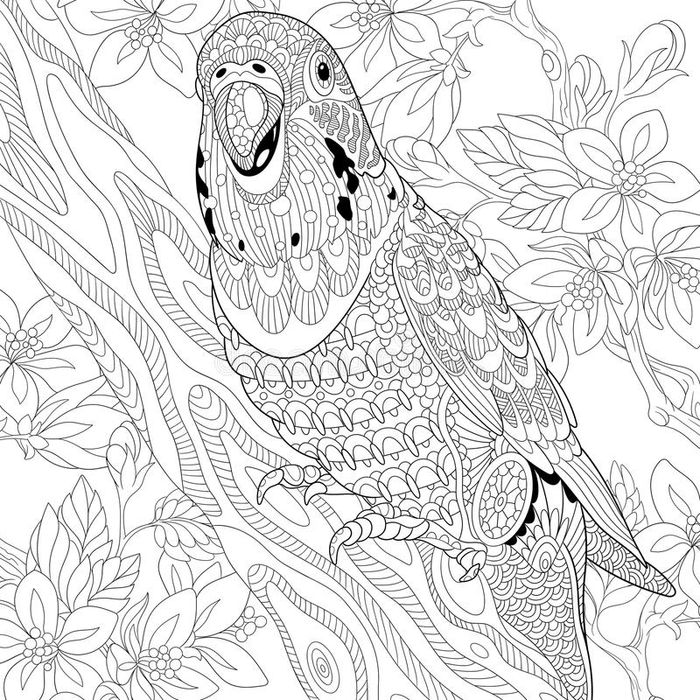 Parrot Hard Coloring Pages