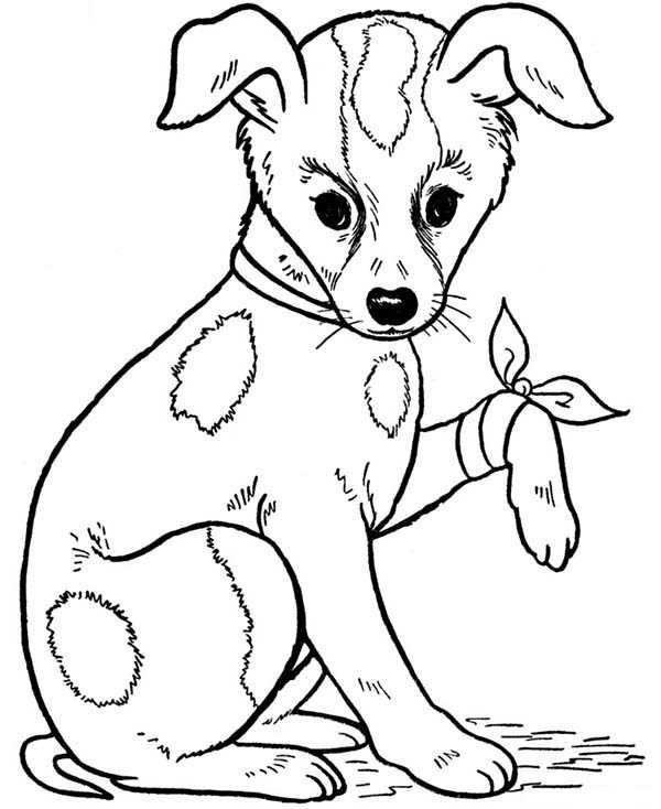 Patch Dog Coloring Pages