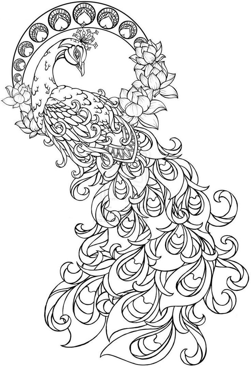 Peacock Coloring Book Pages