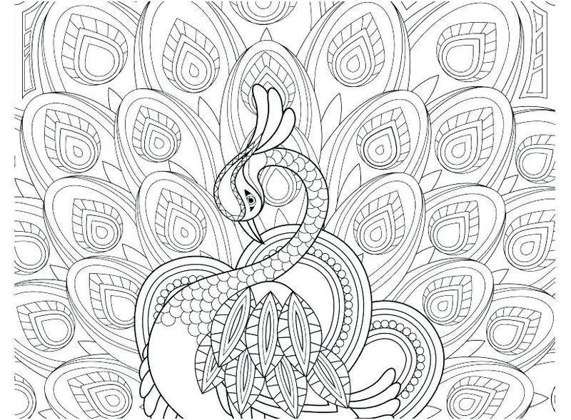 Peacock Coloring Pages For Kids With Color