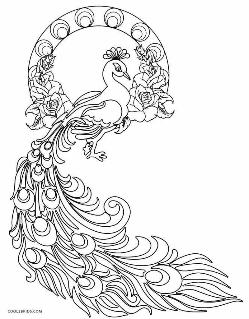 Peacock Coloring Pages For Preschoolers