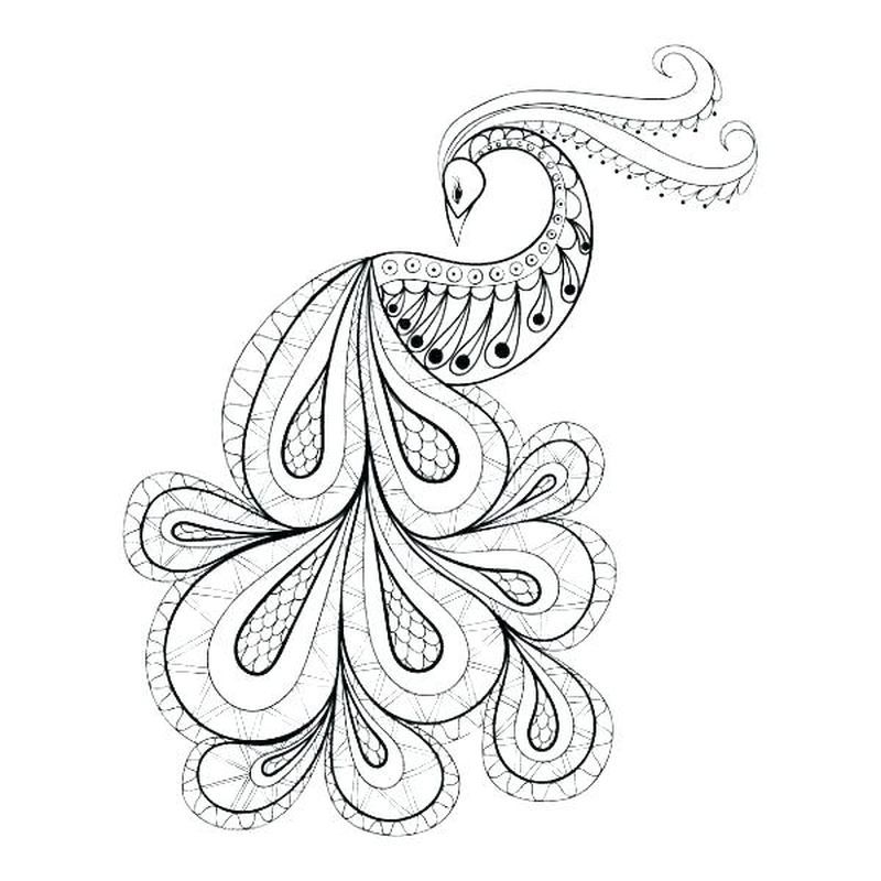 Peacock Pictures Coloring Pages